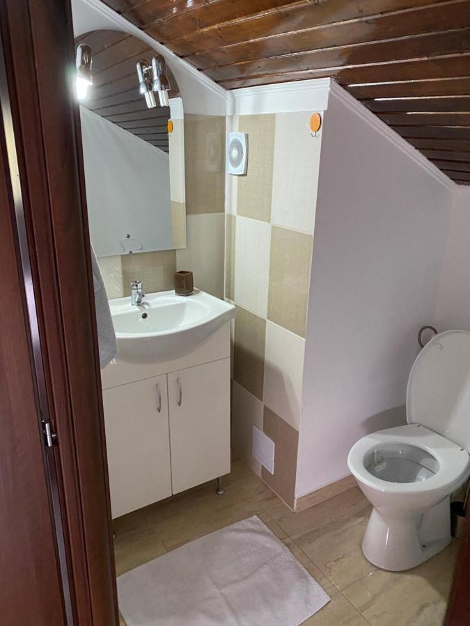 Busteni Cantacuzino Home Dış mekan fotoğraf