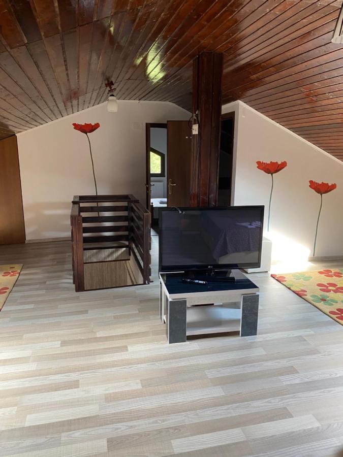 Busteni Cantacuzino Home Dış mekan fotoğraf