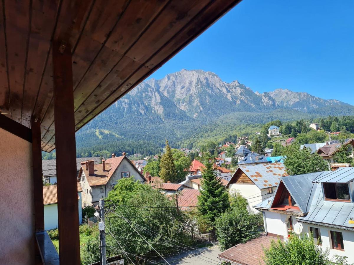 Busteni Cantacuzino Home Dış mekan fotoğraf